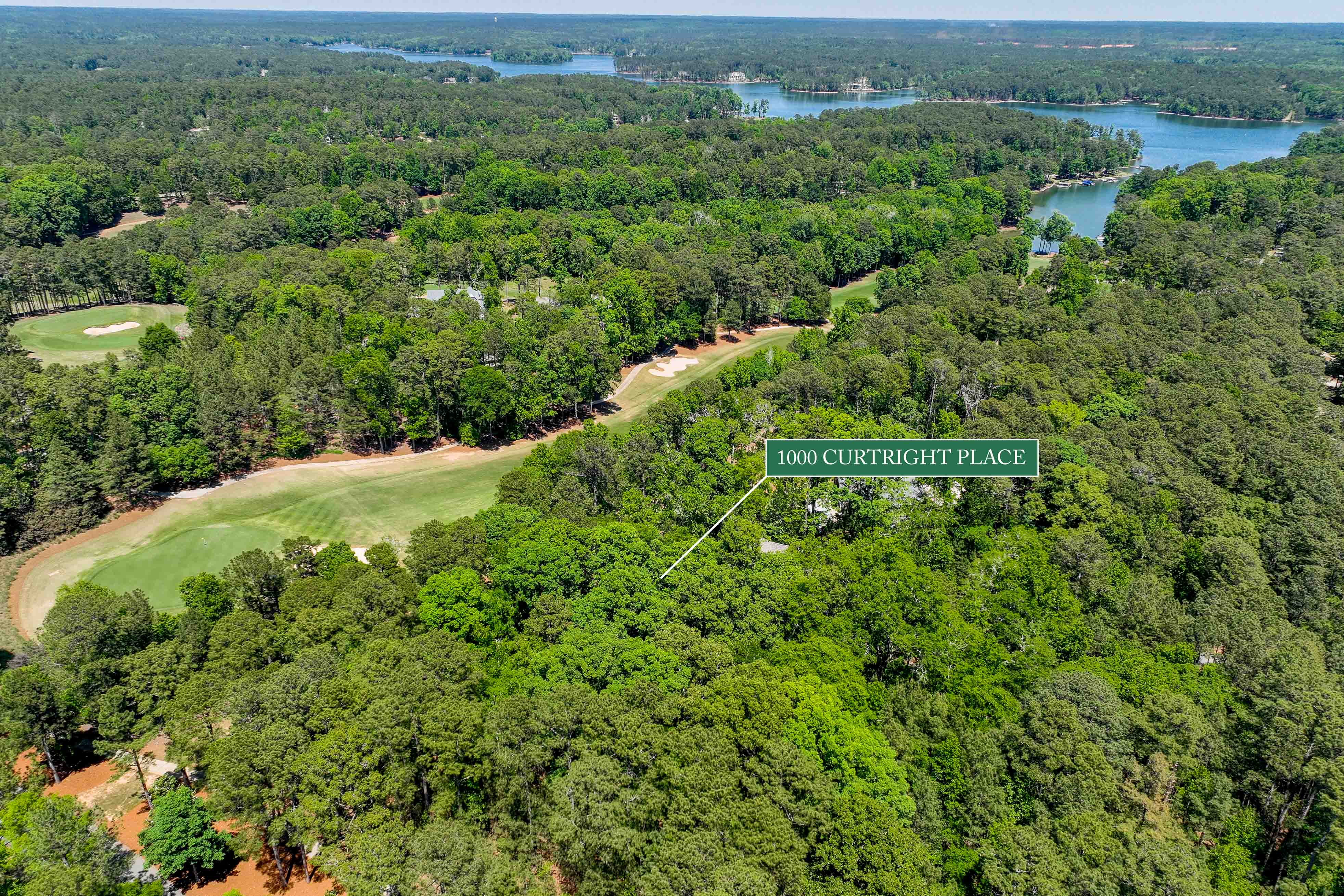 1000 Curtright Place image 17